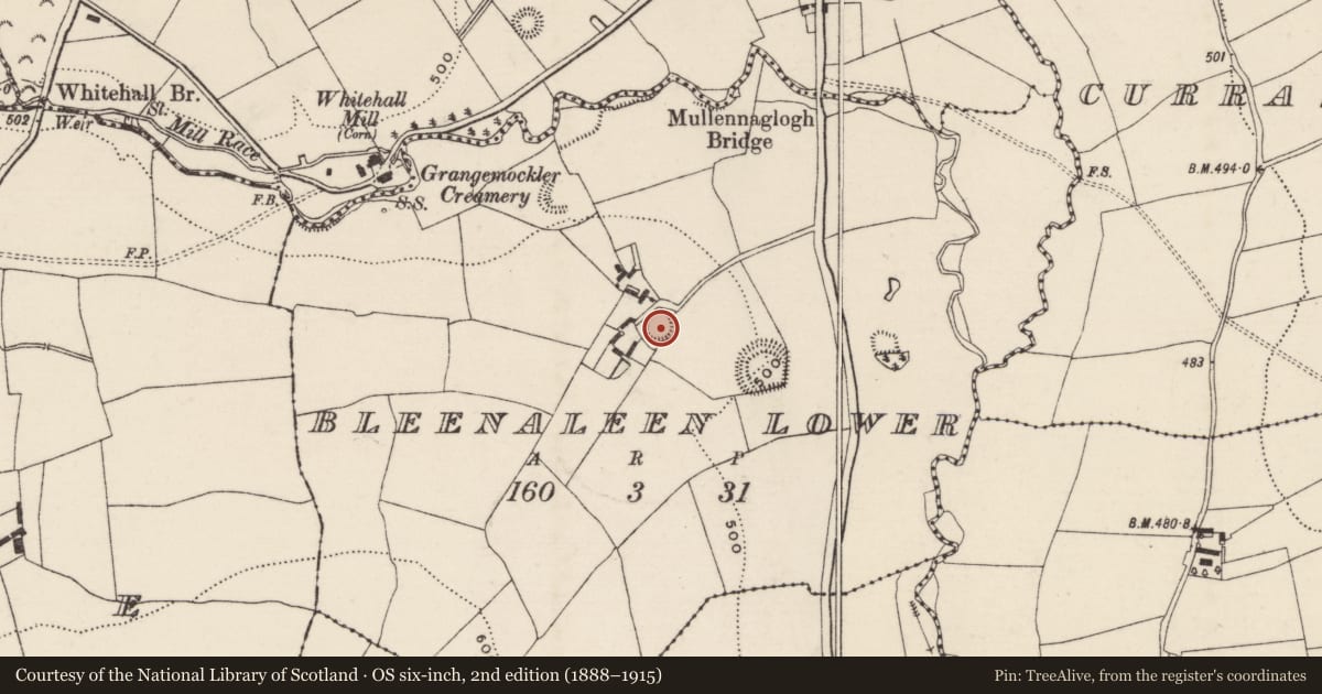Ordnance Survey six-inch map, 2nd edition (1888–1915) covering the location of Enclosure, Bleenaleen Lower, County Tipperary South, with a pin at the register's coordinates