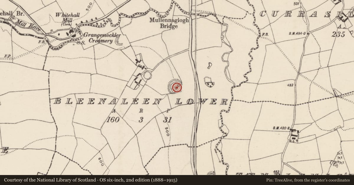 Ordnance Survey six-inch map, 2nd edition (1888–1915) covering the location of Enclosure, Bleenaleen Lower, County Tipperary South, with a pin at the register's coordinates