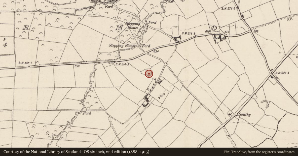 Ordnance Survey six-inch map, 2nd edition (1888–1915) covering the location of Enclosure, Brenormore, County Tipperary South, with a pin at the register's coordinates