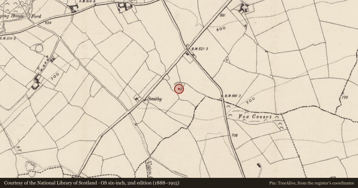 Ordnance Survey six-inch map, 2nd edition (1888–1915) covering the location of Enclosure, Brenormore, County Tipperary South, with a pin at the register's coordinates