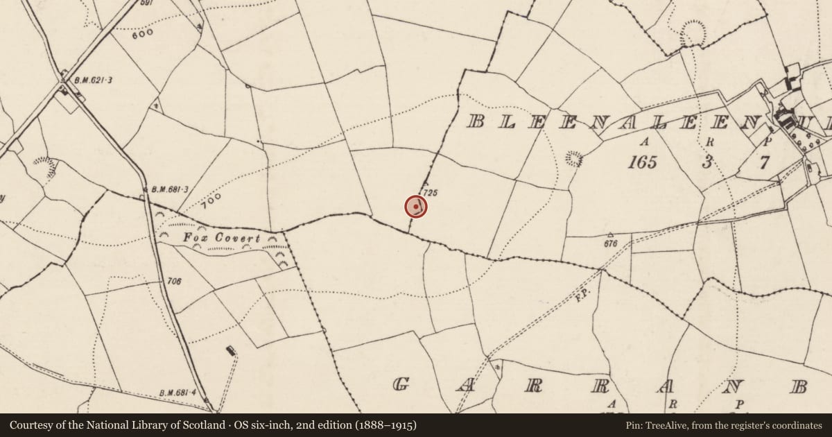 Ordnance Survey six-inch map, 2nd edition (1888–1915) covering the location of Enclosure, Bleenaleen Upper, Brenormore, County Tipperary South, with a pin at the register's coordinates