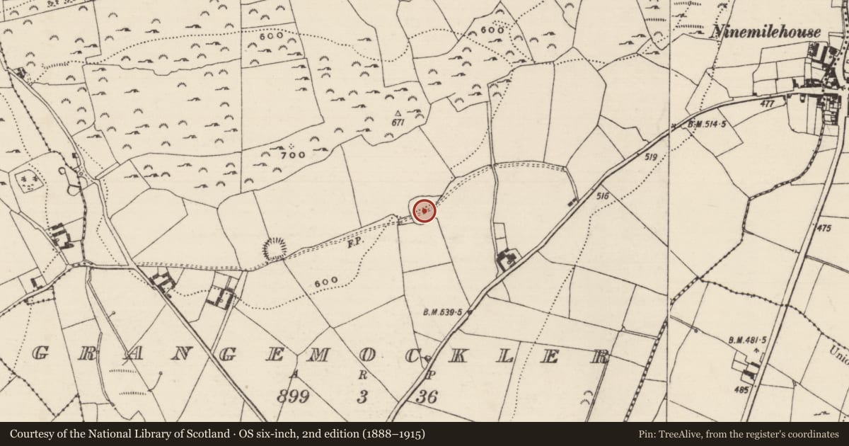 Ordnance Survey six-inch map, 2nd edition (1888–1915) covering the location of Enclosure, Grangemockler, County Tipperary South, with a pin at the register's coordinates