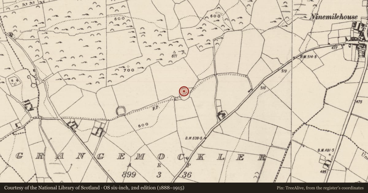 Ordnance Survey six-inch map, 2nd edition (1888–1915) covering the location of Building, Grangemockler, County Tipperary South, with a pin at the register's coordinates