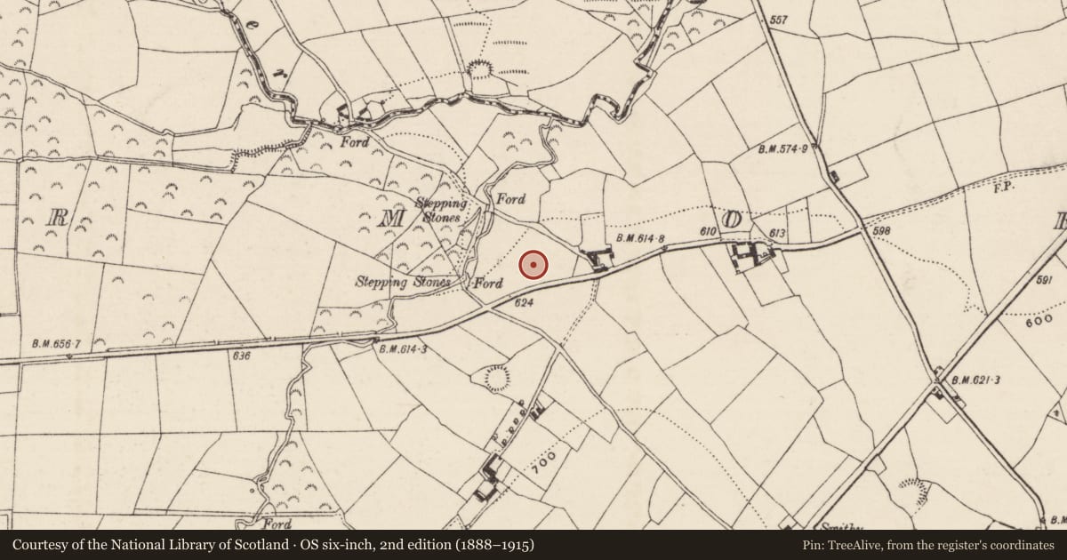 Ordnance Survey six-inch map, 2nd edition (1888–1915) covering the location of Enclosure, Brenormore, County Tipperary South, with a pin at the register's coordinates