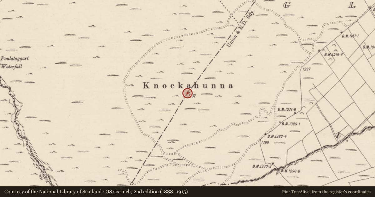 Ordnance Survey six-inch map, 2nd edition (1888–1915) covering the location of Cairn - unclassified, Glennaskagh, Gurtnapisha, County Tipperary South, with a pin at the register's coordinates