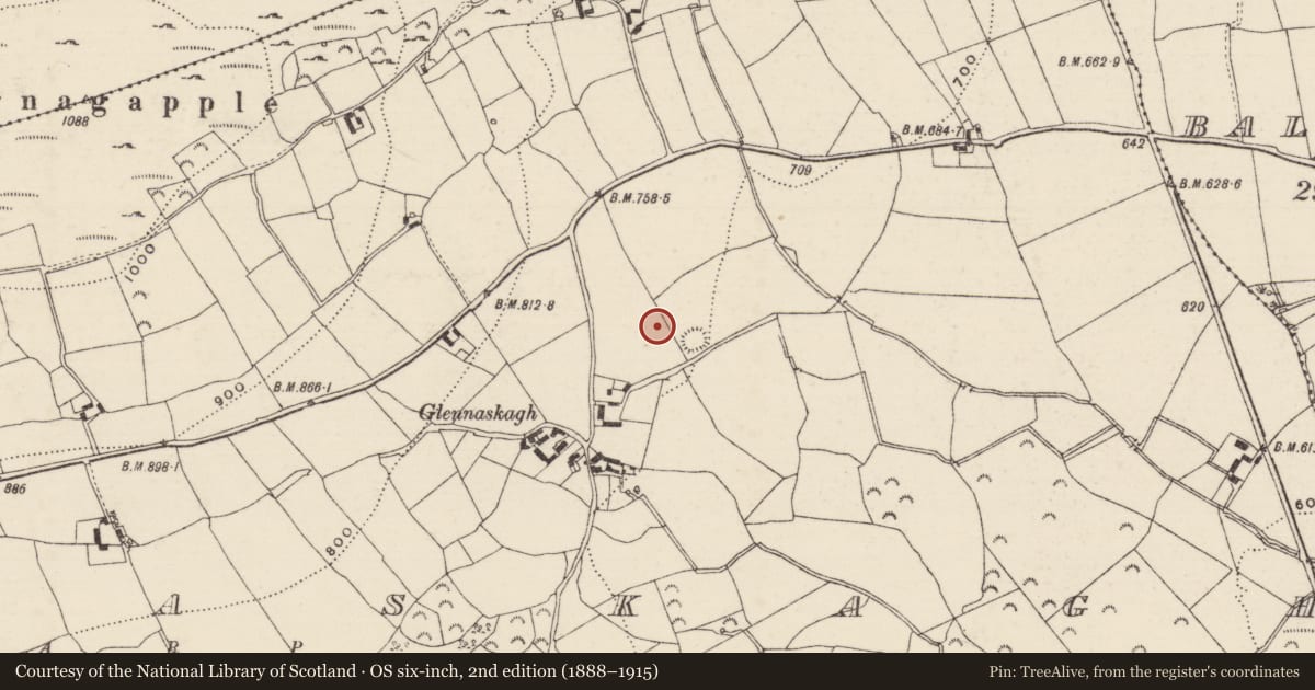 Ordnance Survey six-inch map, 2nd edition (1888–1915) covering the location of Standing stone, Glennaskagh, County Tipperary South, with a pin at the register's coordinates