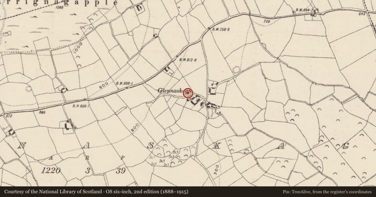 Ordnance Survey six-inch map, 2nd edition (1888–1915) covering the location of Standing stone, Glennaskagh, County Tipperary South, with a pin at the register's coordinates