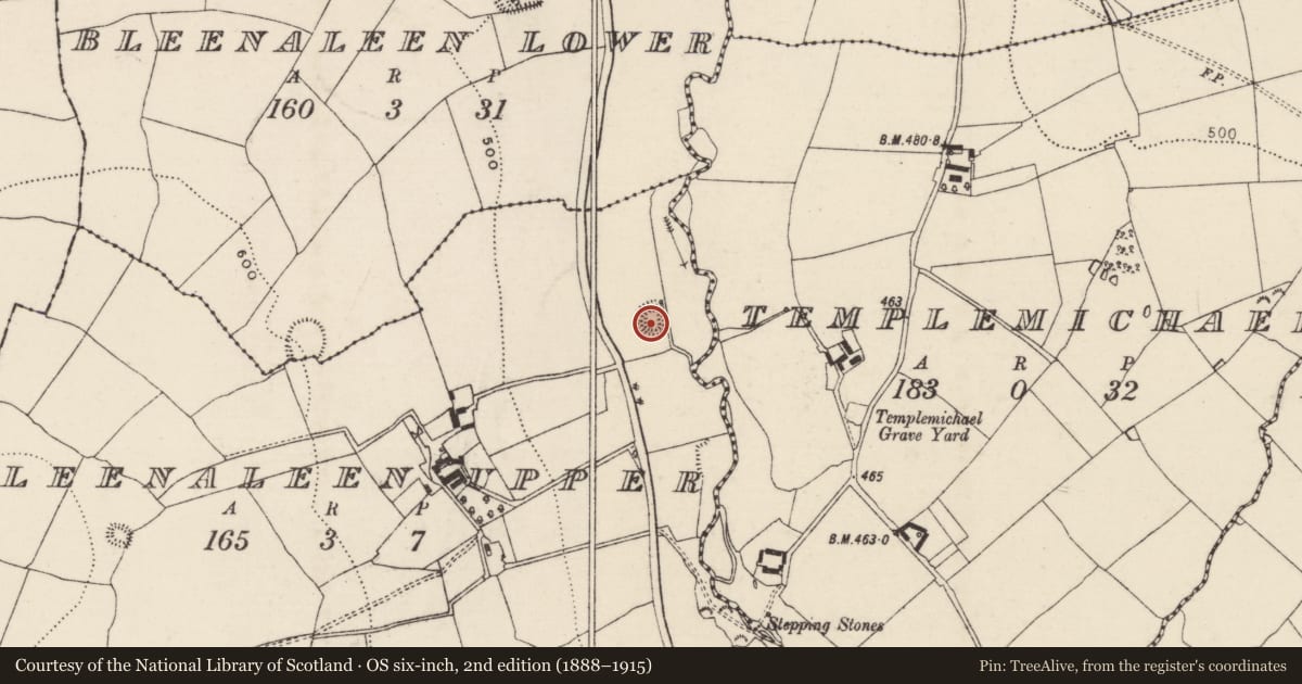 Ordnance Survey six-inch map, 2nd edition (1888–1915) covering the location of Moated site, Bleenaleen Upper, County Tipperary South, with a pin at the register's coordinates