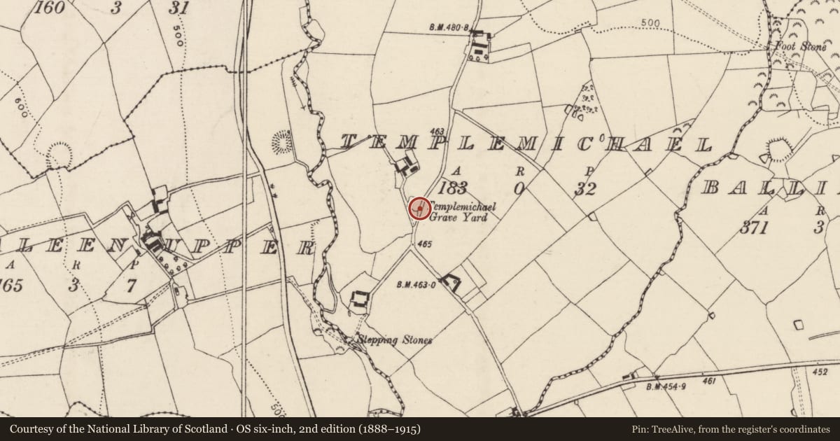 Ordnance Survey six-inch map, 2nd edition (1888–1915) covering the location of Bullaun stone, Templemichael, County Tipperary South, with a pin at the register's coordinates