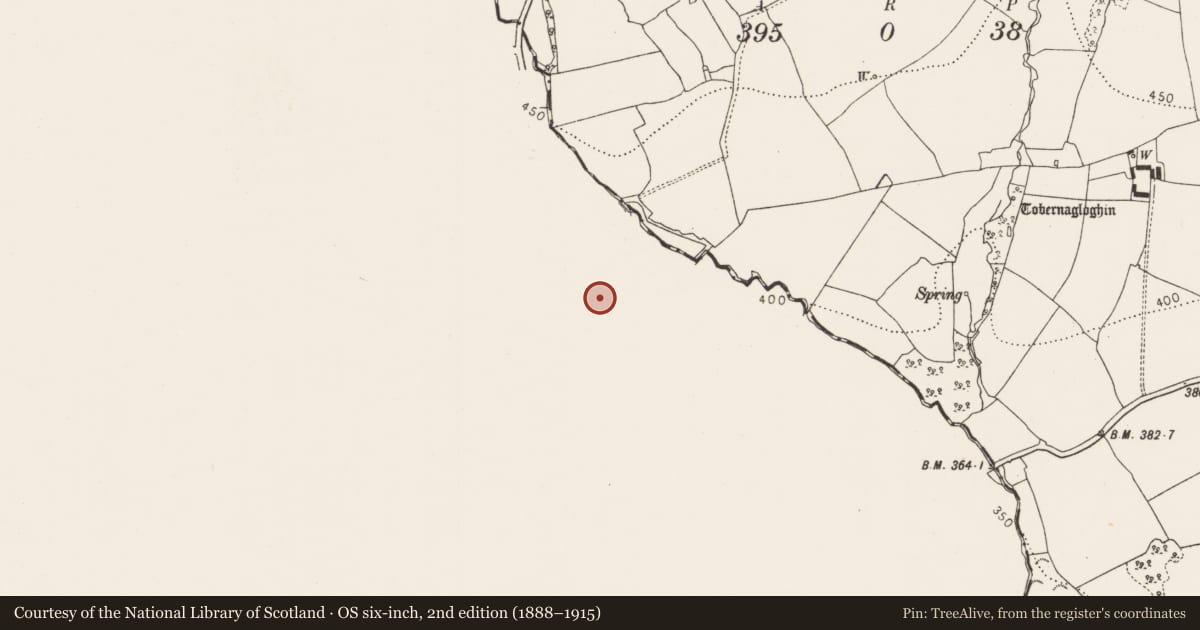 Ordnance Survey six-inch map, 2nd edition (1888–1915) covering the location of Castle - tower house, Castlejohn, County Tipperary South, with a pin at the register's coordinates