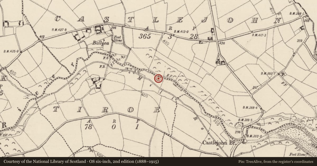 Ordnance Survey six-inch map, 2nd edition (1888–1915) covering the location of Fulacht fia, Tiroe, County Tipperary South, with a pin at the register's coordinates