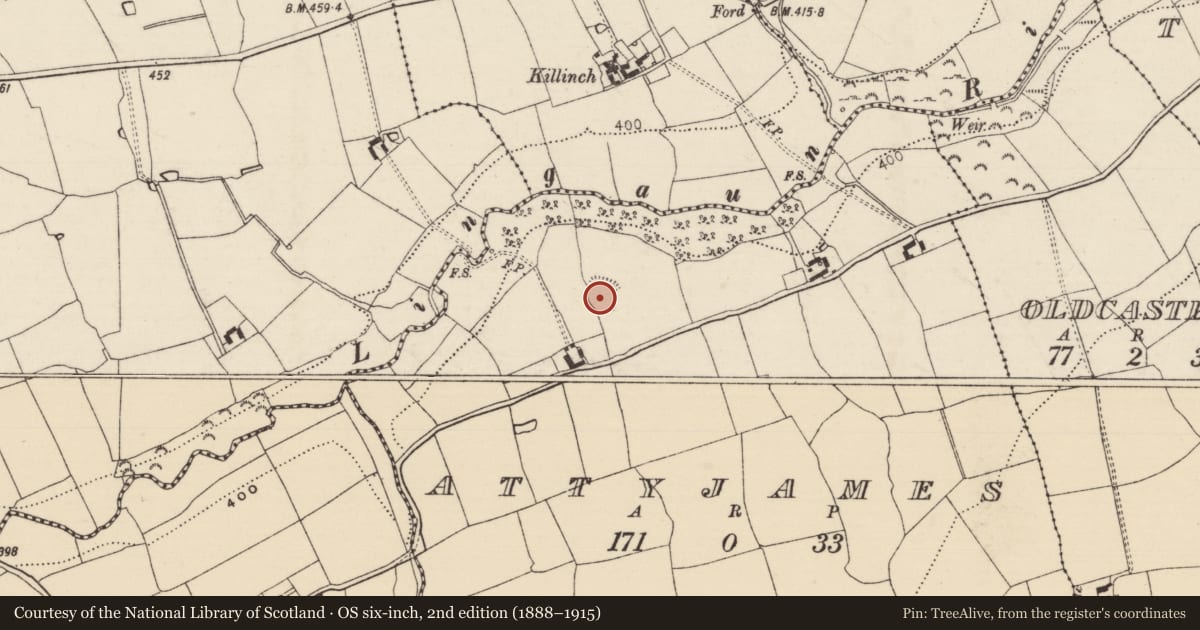 Ordnance Survey six-inch map, 2nd edition (1888–1915) covering the location of Enclosure, Attyjames, County Tipperary South, with a pin at the register's coordinates