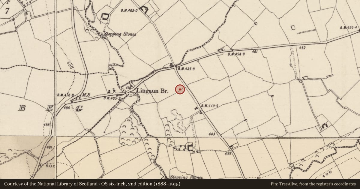 Ordnance Survey six-inch map, 2nd edition (1888–1915) covering the location of Standing stone, Ballinvir, County Tipperary South, with a pin at the register's coordinates