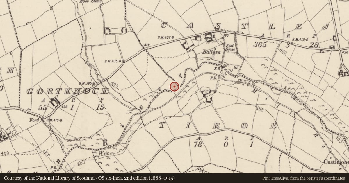 Ordnance Survey six-inch map, 2nd edition (1888–1915) covering the location of Fulacht fia, Coolarkin, County Tipperary South, with a pin at the register's coordinates