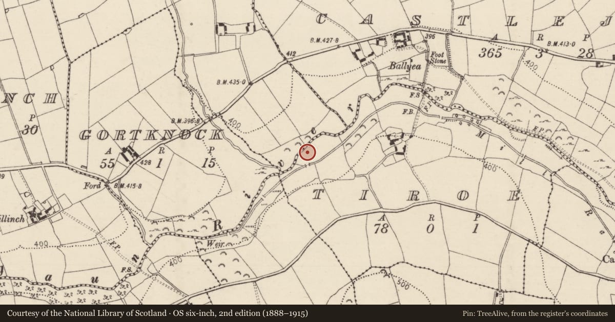 Ordnance Survey six-inch map, 2nd edition (1888–1915) covering the location of Fulacht fia, Tiroe, County Tipperary South, with a pin at the register's coordinates