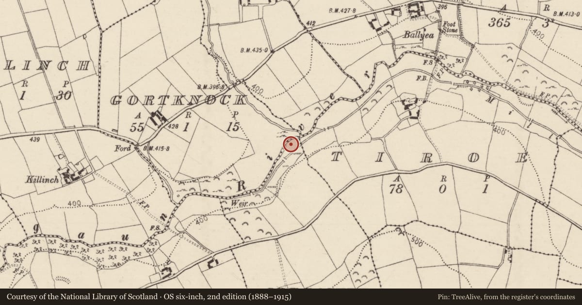 Ordnance Survey six-inch map, 2nd edition (1888–1915) covering the location of Fulacht fia, Oldcastle (Newtownlennan Par.), County Tipperary South, with a pin at the register's coordinates