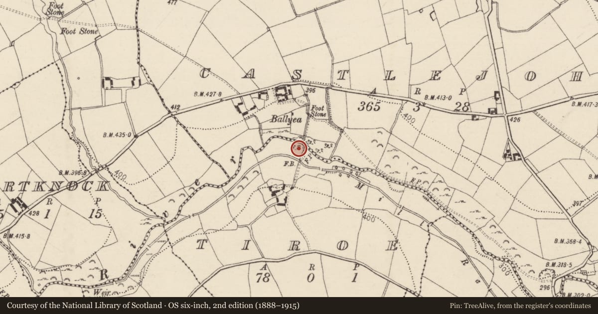 Ordnance Survey six-inch map, 2nd edition (1888–1915) covering the location of Fulacht fia, Tiroe, County Tipperary South, with a pin at the register's coordinates