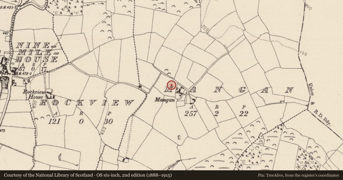 Ordnance Survey six-inch map, 2nd edition (1888–1915) covering the location of Cairn - burial cairn, Mangan, County Tipperary South, with a pin at the register's coordinates