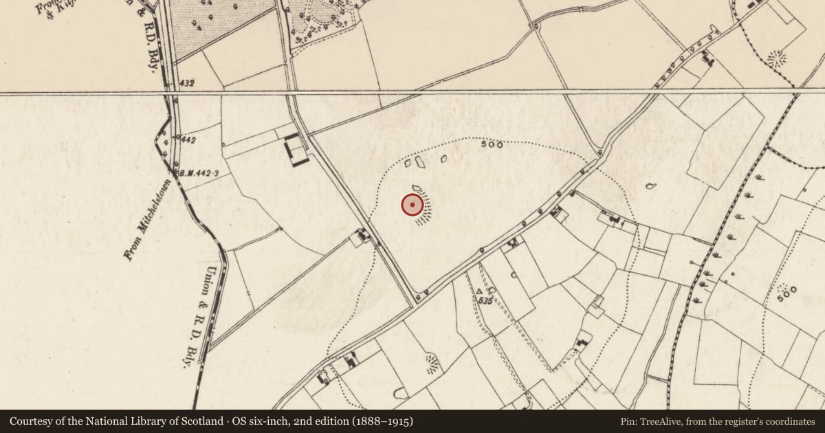 Ordnance Survey six-inch map, 2nd edition (1888–1915) covering the location of Moated site, Ballywire, County Tipperary South, with a pin at the register's coordinates