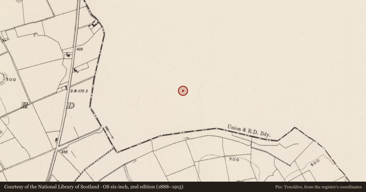 Ordnance Survey six-inch map, 2nd edition (1888–1915) covering the location of Earthwork, Ballywire, County Tipperary South, with a pin at the register's coordinates