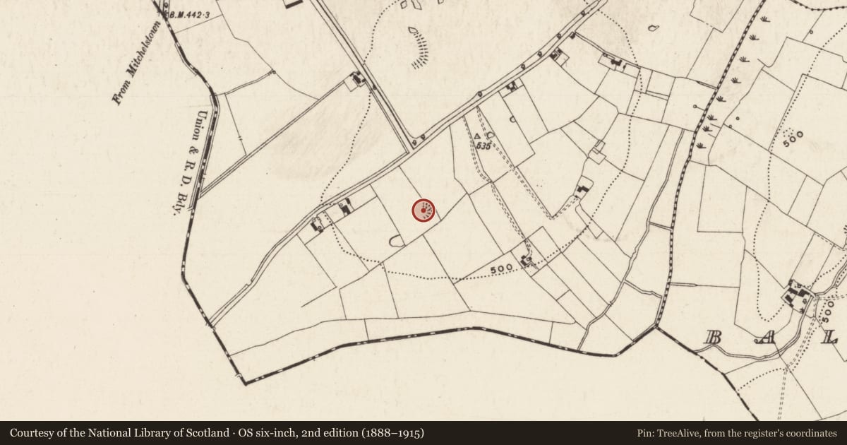 Ordnance Survey six-inch map, 2nd edition (1888–1915) covering the location of Ringfort - rath, Ballywire, County Tipperary South, with a pin at the register's coordinates