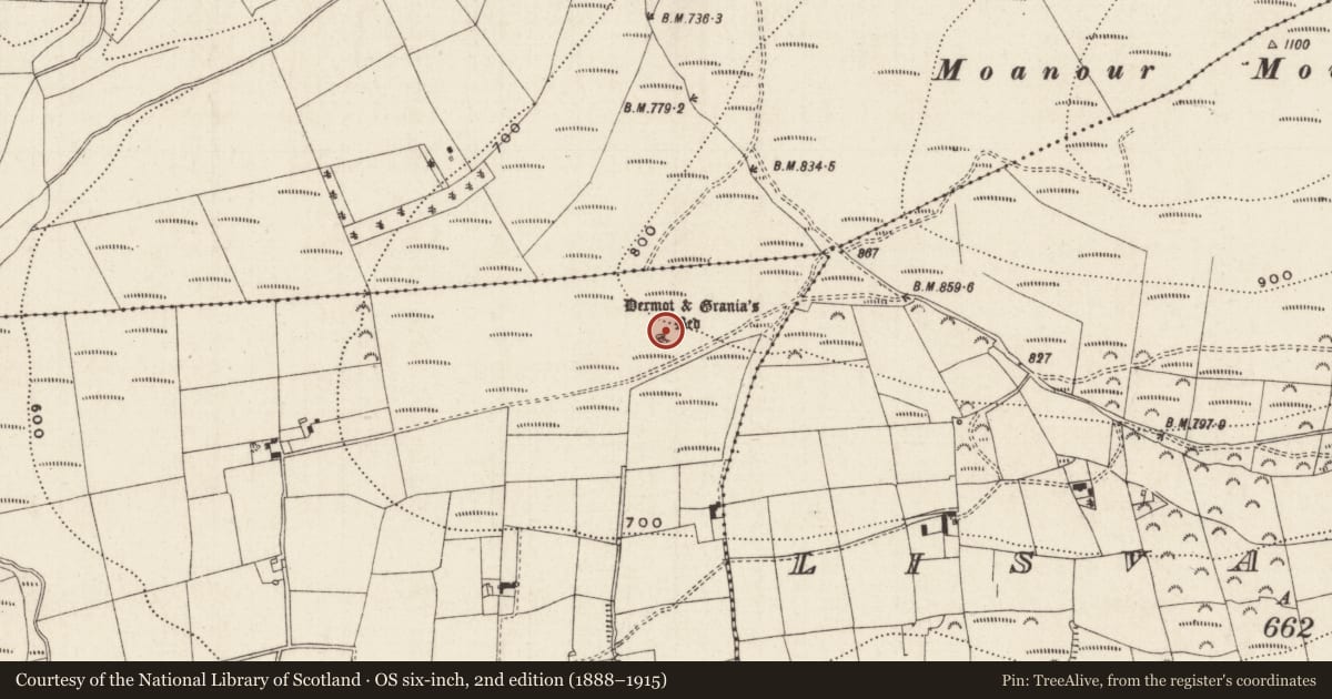 Ordnance Survey six-inch map, 2nd edition (1888–1915) covering the location of Megalithic tomb - wedge tomb, Corderry, County Tipperary South, with a pin at the register's coordinates