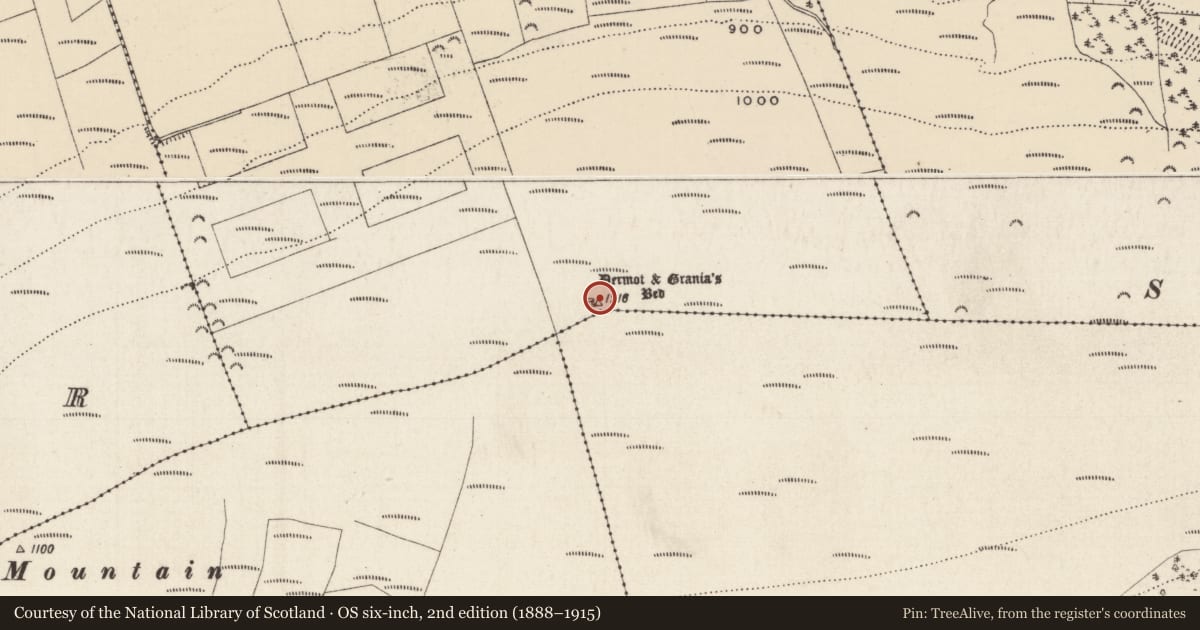 Ordnance Survey six-inch map, 2nd edition (1888–1915) covering the location of Megalithic tomb - passage tomb, Shrough, County Tipperary South, with a pin at the register's coordinates