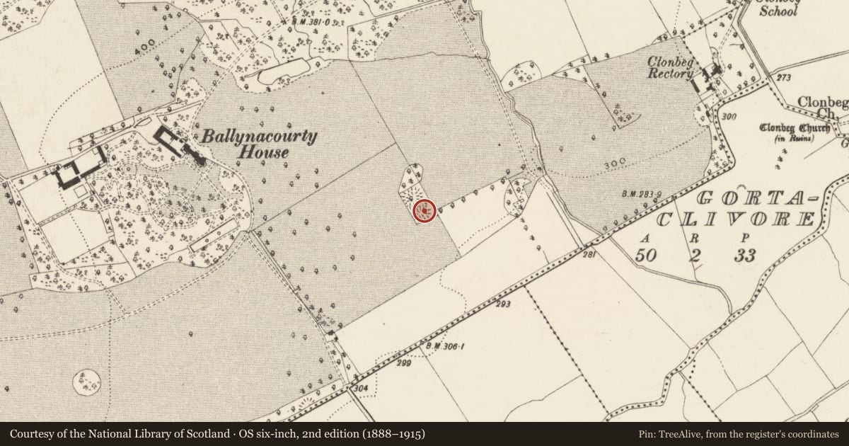 Ordnance Survey six-inch map, 2nd edition (1888–1915) covering the location of Ringfort - rath, Ballynacourty, County Tipperary South, with a pin at the register's coordinates