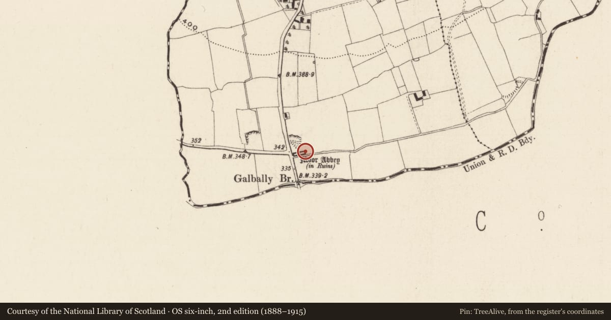 Ordnance Survey six-inch map, 2nd edition (1888–1915) covering the location of Graveslab, Moorabbey, County Tipperary South, with a pin at the register's coordinates