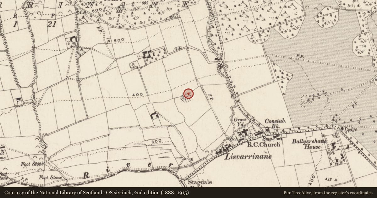 Ordnance Survey six-inch map, 2nd edition (1888–1915) covering the location of Ringfort - rath, Lisvarrinane, County Tipperary South, with a pin at the register's coordinates