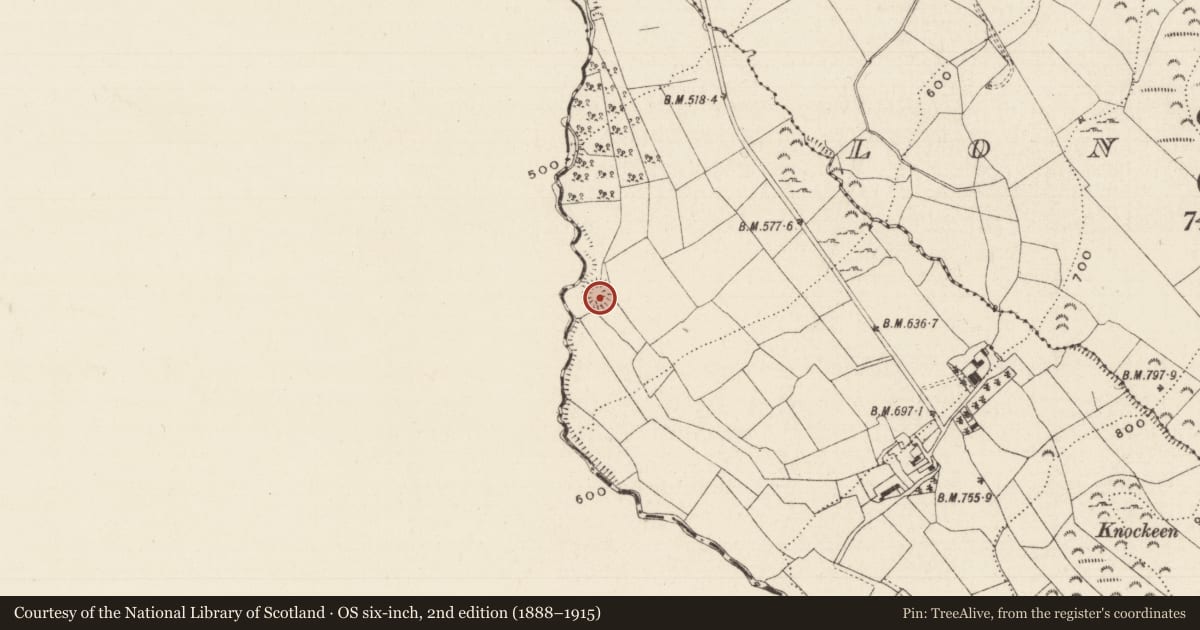 Ordnance Survey six-inch map, 2nd edition (1888–1915) covering the location of Ringfort - rath, Lyre, County Tipperary South, with a pin at the register's coordinates