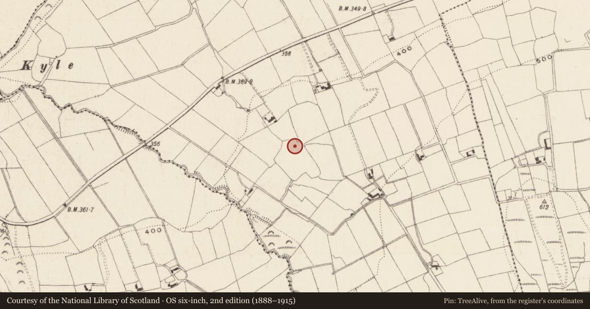 Ordnance Survey six-inch map, 2nd edition (1888–1915) covering the location of Enclosure, Moneynaboola, County Tipperary South, with a pin at the register's coordinates