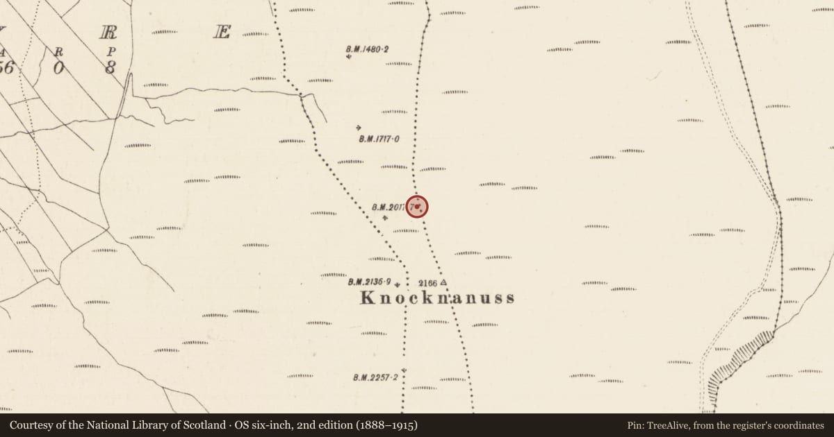 Ordnance Survey six-inch map, 2nd edition (1888–1915) covering the location of Structure, Longford (Clonbeg Par.), County Tipperary South, with a pin at the register's coordinates