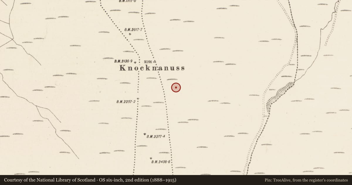 Ordnance Survey six-inch map, 2nd edition (1888–1915) covering the location of Structure, Moneynaboola, County Tipperary South, with a pin at the register's coordinates