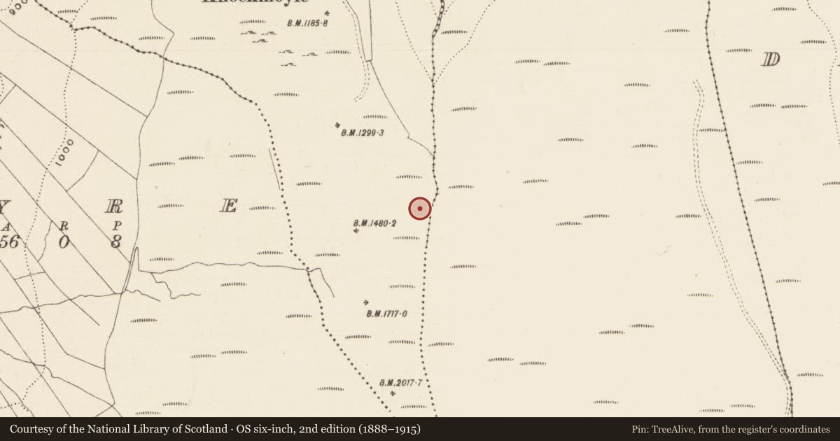Ordnance Survey six-inch map, 2nd edition (1888–1915) covering the location of Structure, Longford (Clonbeg Par.), County Tipperary South, with a pin at the register's coordinates