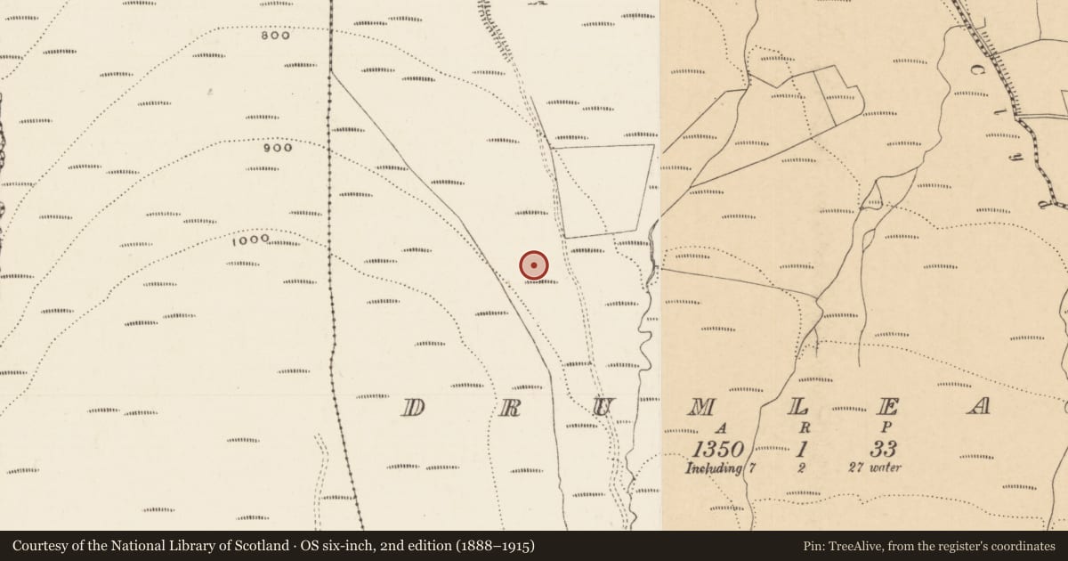 Ordnance Survey six-inch map, 2nd edition (1888–1915) covering the location of Enclosure, Drumleagh, County Tipperary South, with a pin at the register's coordinates