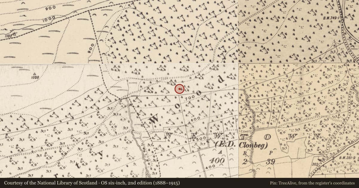 Ordnance Survey six-inch map, 2nd edition (1888–1915) covering the location of Mass-rock, Newtown (Clonbeg Par.), County Tipperary South, with a pin at the register's coordinates