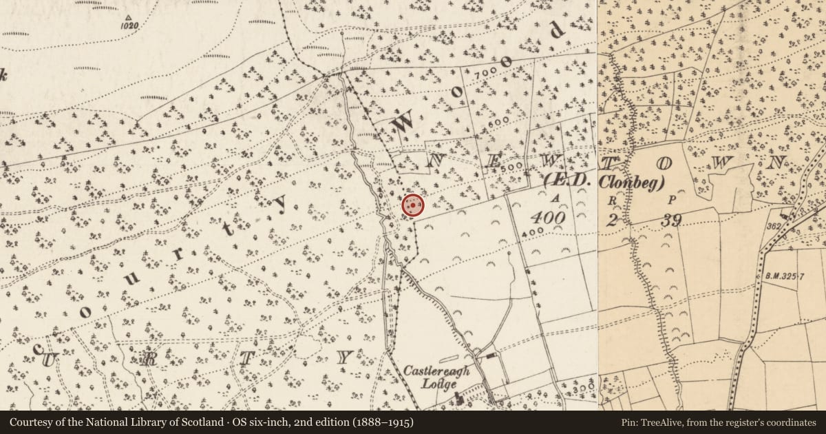 Ordnance Survey six-inch map, 2nd edition (1888–1915) covering the location of Ogham stone (present location), Newtown (Clonbeg Par.), County Tipperary South, with a pin at the register's coordinates