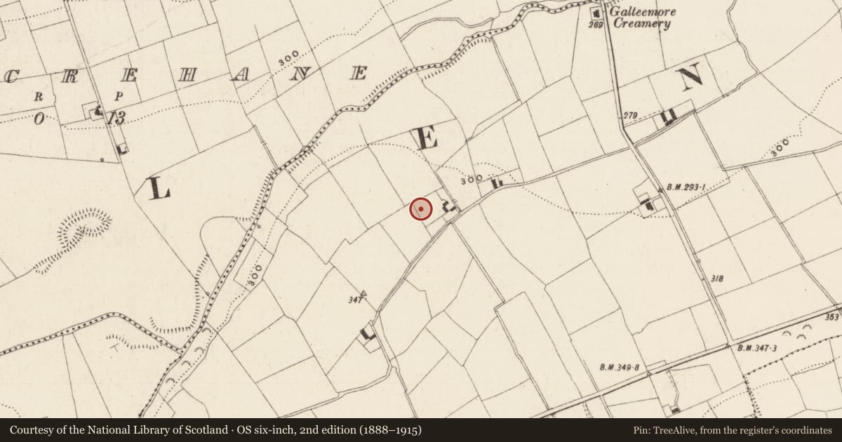 Ordnance Survey six-inch map, 2nd edition (1888–1915) covering the location of Cist, Moneynaboola, County Tipperary South, with a pin at the register's coordinates