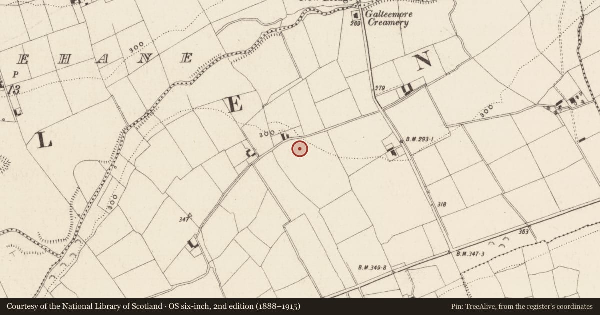 Ordnance Survey six-inch map, 2nd edition (1888–1915) covering the location of Enclosure, Moneynaboola, County Tipperary South, with a pin at the register's coordinates