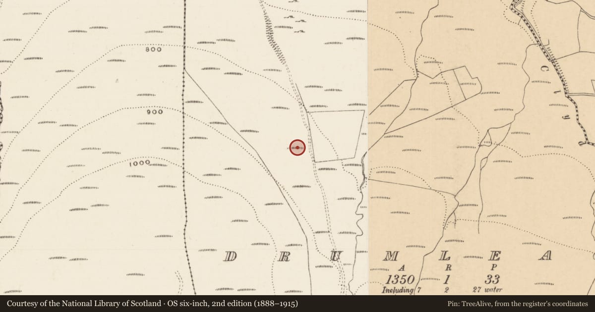 Ordnance Survey six-inch map, 2nd edition (1888–1915) covering the location of Hut site, Drumleagh, County Tipperary South, with a pin at the register's coordinates