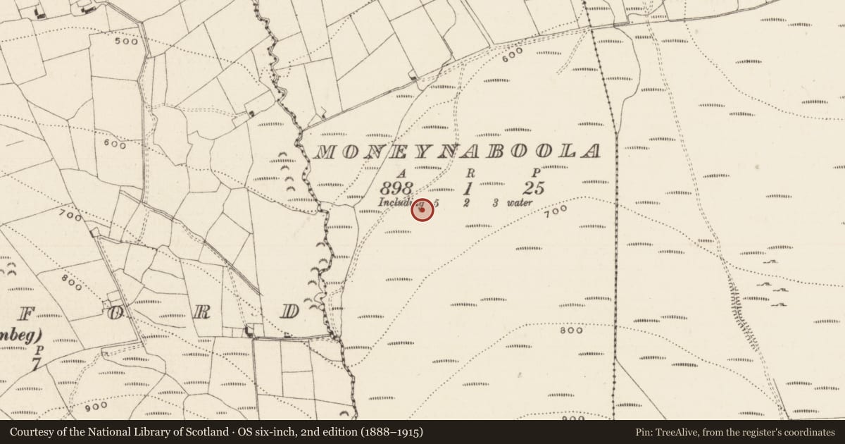 Ordnance Survey six-inch map, 2nd edition (1888–1915) covering the location of Hut site, Moneynaboola, County Tipperary South, with a pin at the register's coordinates