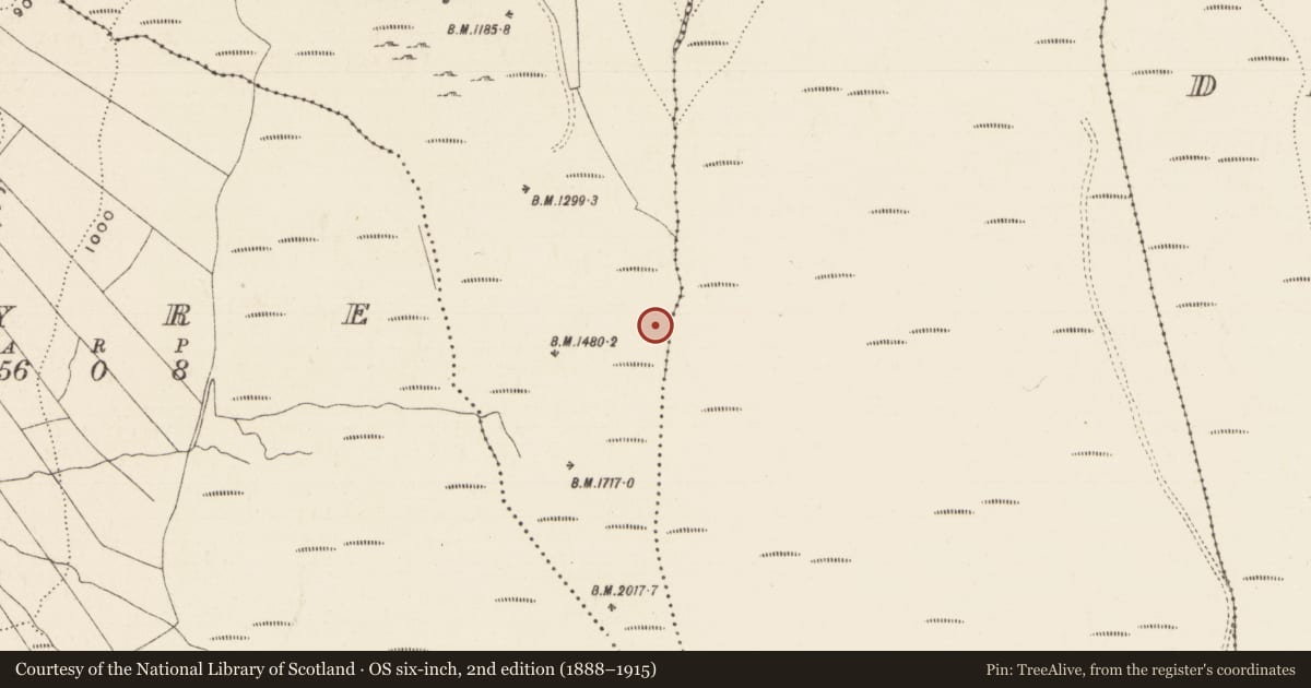 Ordnance Survey six-inch map, 2nd edition (1888–1915) covering the location of Hut site, Longford (Clonbeg Par.), County Tipperary South, with a pin at the register's coordinates