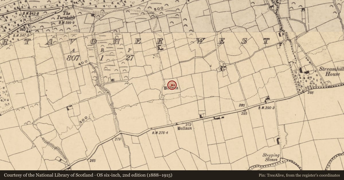 Ordnance Survey six-inch map, 2nd edition (1888–1915) covering the location of Bullaun stone, Gortavoher West, County Tipperary South, with a pin at the register's coordinates