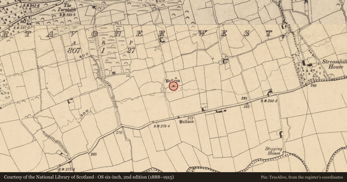 Ordnance Survey six-inch map, 2nd edition (1888–1915) covering the location of Ecclesiastical enclosure, Gortavoher West, County Tipperary South, with a pin at the register's coordinates
