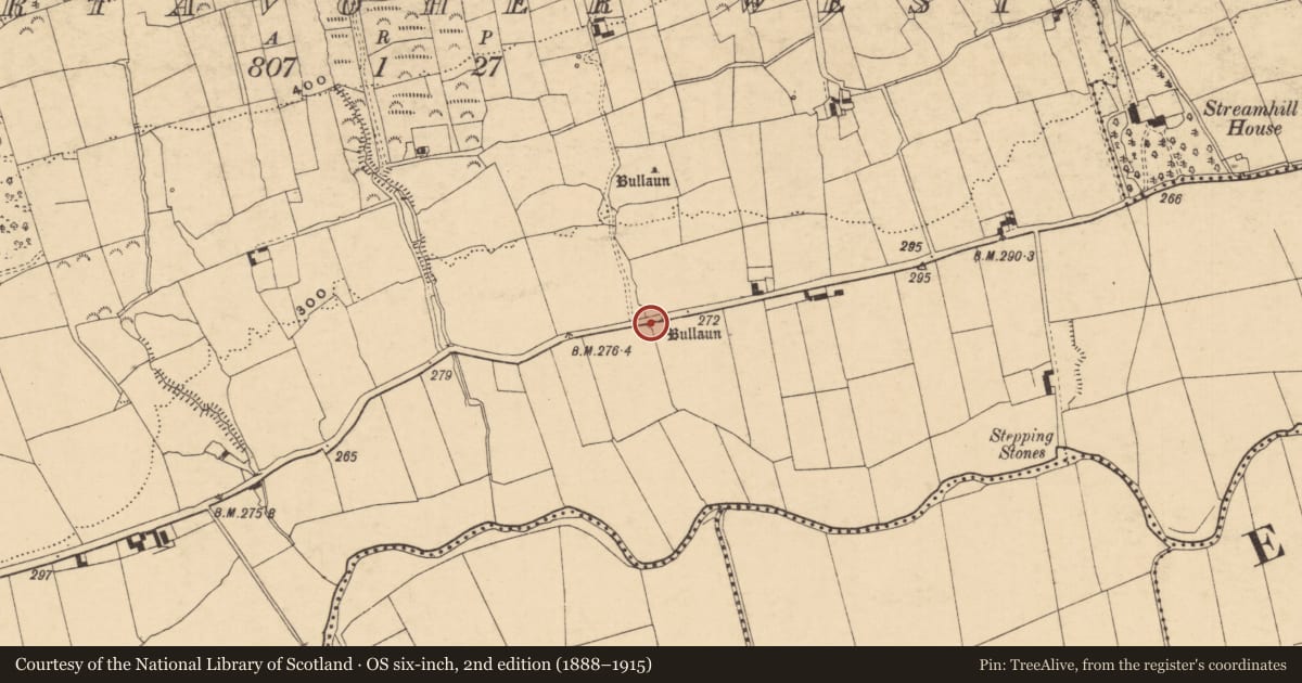 Ordnance Survey six-inch map, 2nd edition (1888–1915) covering the location of Bullaun stone, Gortavoher West, County Tipperary South, with a pin at the register's coordinates