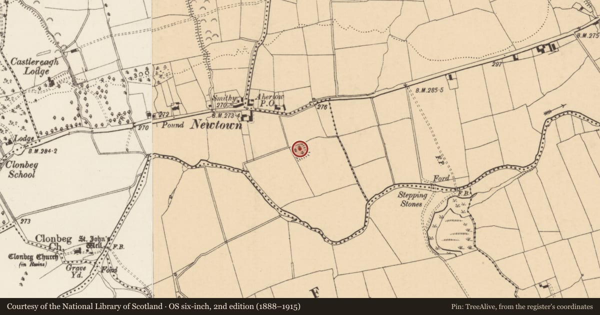 Ordnance Survey six-inch map, 2nd edition (1888–1915) covering the location of Moated site, Newtown (Clonbeg Par.), County Tipperary South, with a pin at the register's coordinates