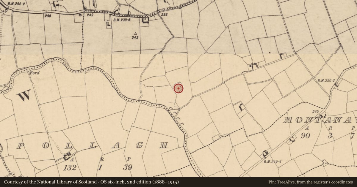 Ordnance Survey six-inch map, 2nd edition (1888–1915) covering the location of Enclosure, Foxfort, County Tipperary South, with a pin at the register's coordinates