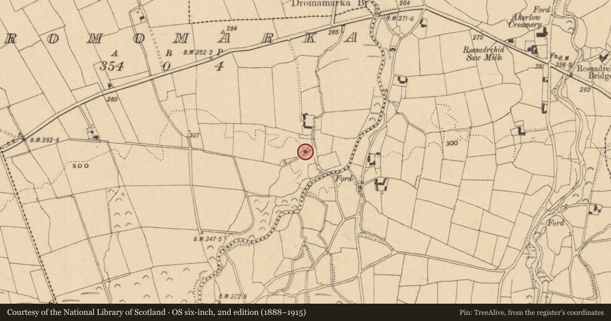 Ordnance Survey six-inch map, 2nd edition (1888–1915) covering the location of Kiln - lime, Dromomarka, County Tipperary South, with a pin at the register's coordinates