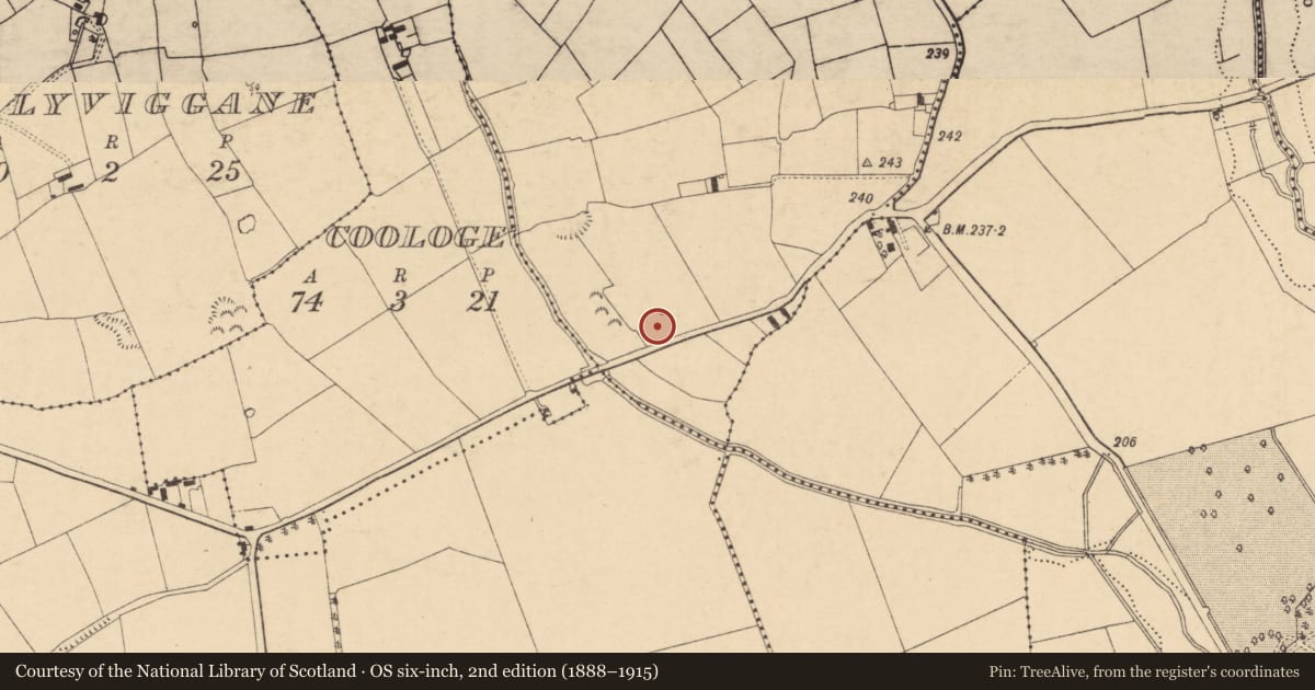 Ordnance Survey six-inch map, 2nd edition (1888–1915) covering the location of Enclosure, Ballyvirane, County Tipperary South, with a pin at the register's coordinates